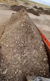 ایرانشهر کودمرغی