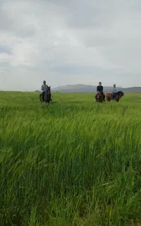 سوارکاری و گشت هفتگی در طبیعتی بکر
