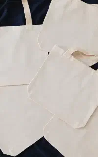 توت بگ خام