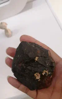 سنگ سیاه خاص