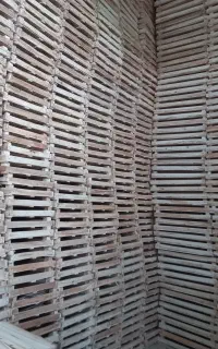 طباخ.طبخ انگور زردالو