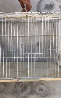 قفس پرنده