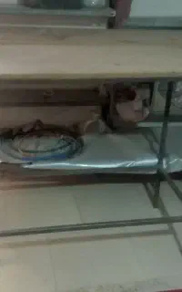 تخت اهنی