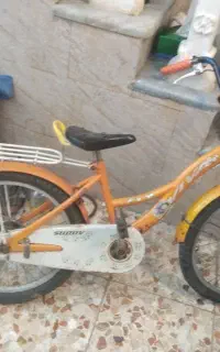 دوچرخه