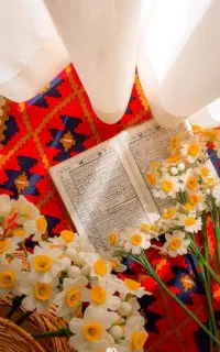 روفرشی کرم رنگ