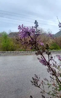 تور طبیعت گردی