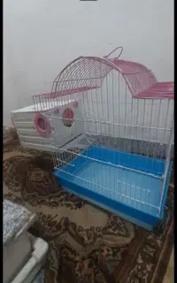 قفس پرنده