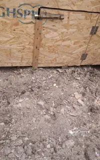 فروش لانه مرغ