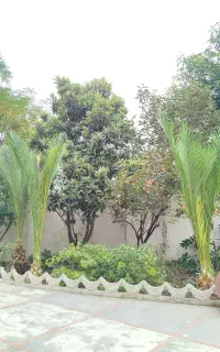 باغبانی