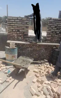 استادبنای هستم همه کارا