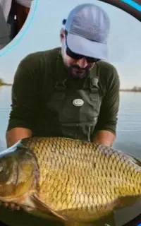 استخدام نیروی کار