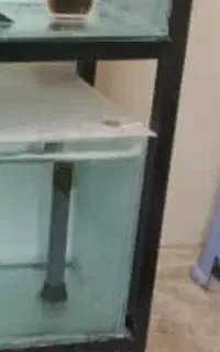 آکواریوم