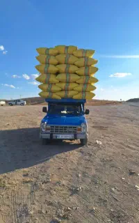 خرید و فروش کاه  زنجان ومغان و موران قیمت توافقی