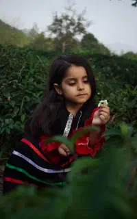 عکاس هستم‌
