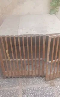 لونه مرغ ، حیوان