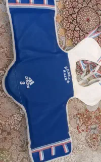 هوگو تکواندو