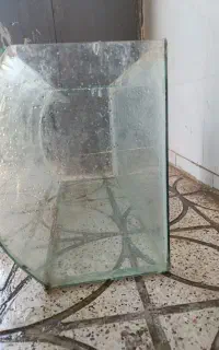 اکواریوم ماهی