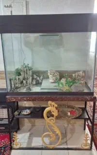 آکواریوم 6میل