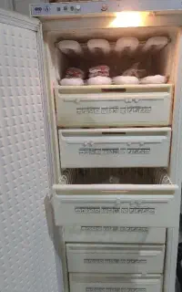 فریزر پارس