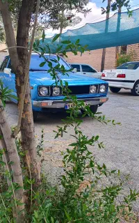 کارینا کولردار...