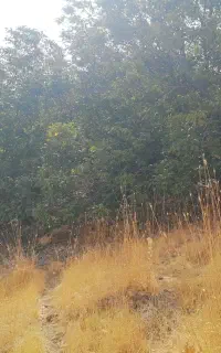 باغ و زمین و چشمه خصوصی