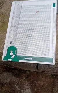 یک خط کش نقشه کشی تی،Tدر حد نو