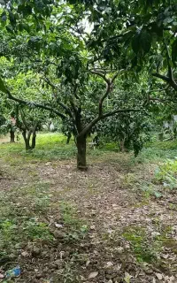 اسکان سرایداری برای افراد نیازمند