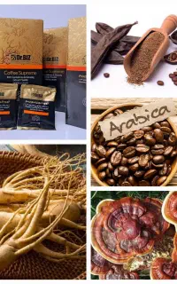 قهوه های گانودرما