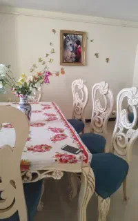 میر ناهار خور تنها بفروش میرسد