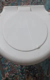 توالت فرنگی