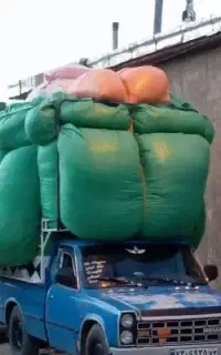 کاه