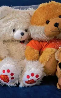 عروسک در حد نو(۳۰۰ هزار تومن)