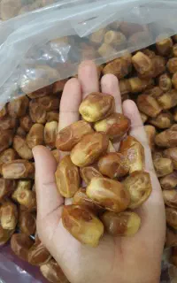 خرما زاهدی درجه یک