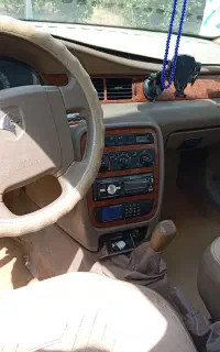 سمند سفید سالم