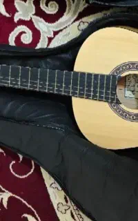 گیتار c60