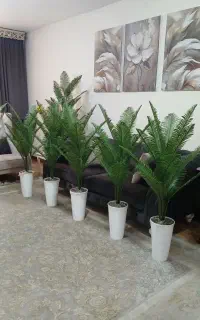 گلدان پرنده بهشتی