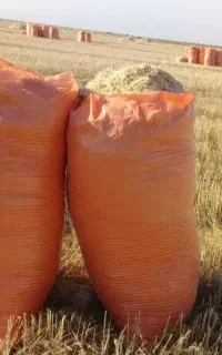 کارگر کاه بصورت گروی هستیم