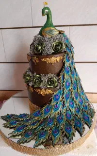 حنا مجلسی