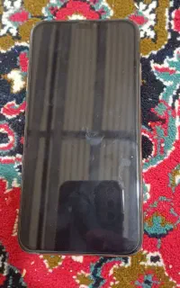 Xs max 256