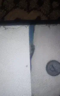 برقکارسیارخودرو وتنظیم موتور