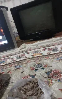 تلویزیون الجی سامسونگ دستگاه گیرنده دیجیتال