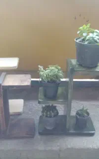جاگلدانی چوبی مدرن
