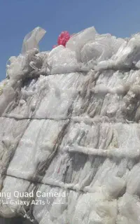 دو نفر نیروی کار آقا