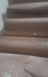 حدود ۱۰متر موکت پله