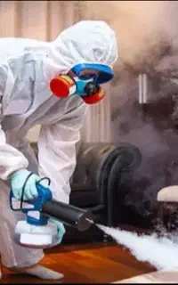 سمپاشی سوسک ساس موریانه در یک مرحله 100درصدتضمینی