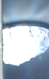لوستر