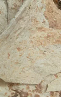 نان خشک