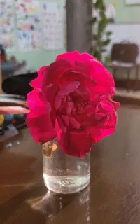 ثبت نام کلاس های زبان انگلیسی