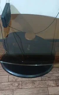 گل میزوسط