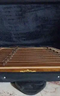 سنتور صادقی گلدار کاملا نو